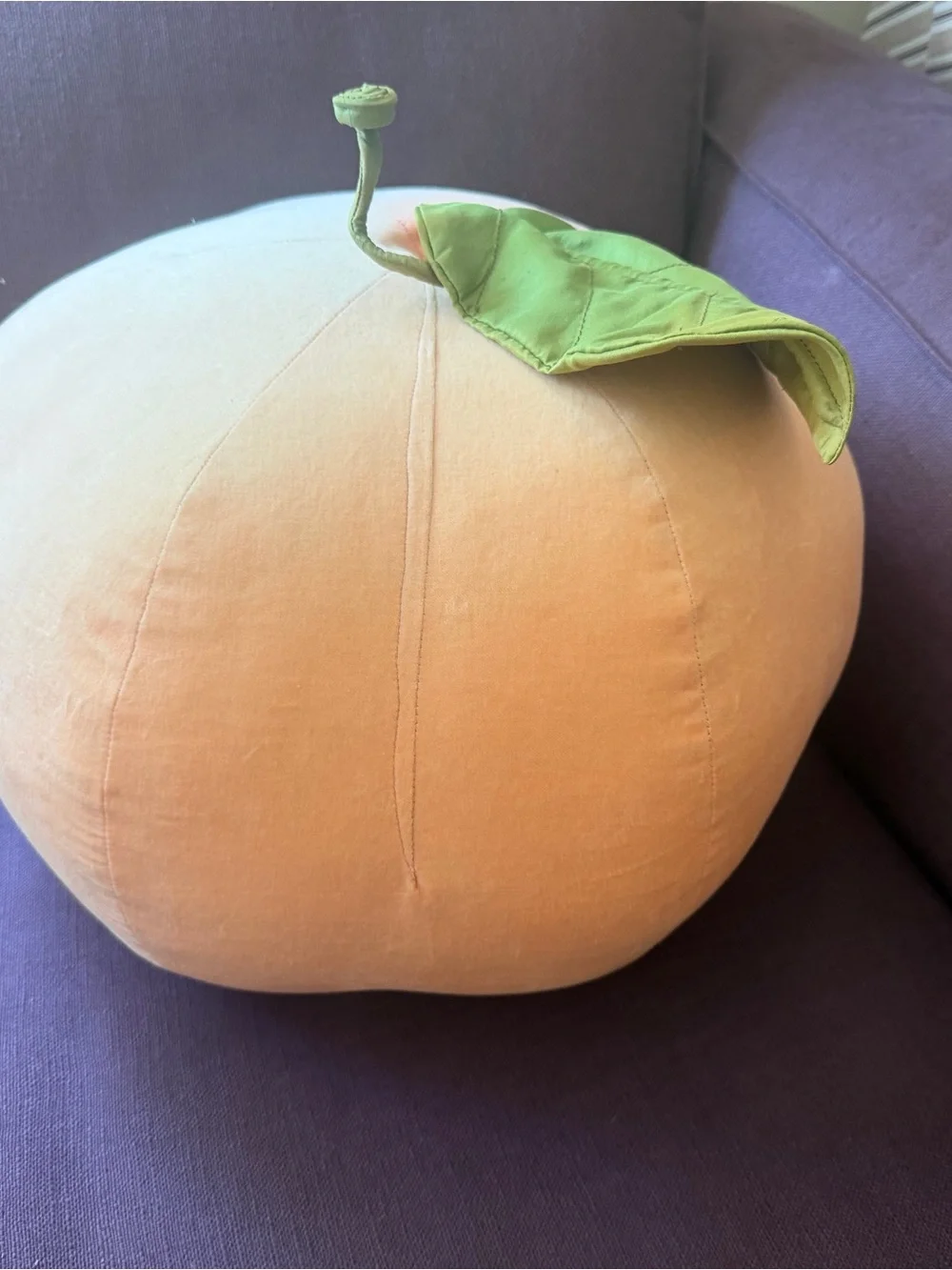 Oi Plush Peach Decorative Pillow with Leaf Accent
